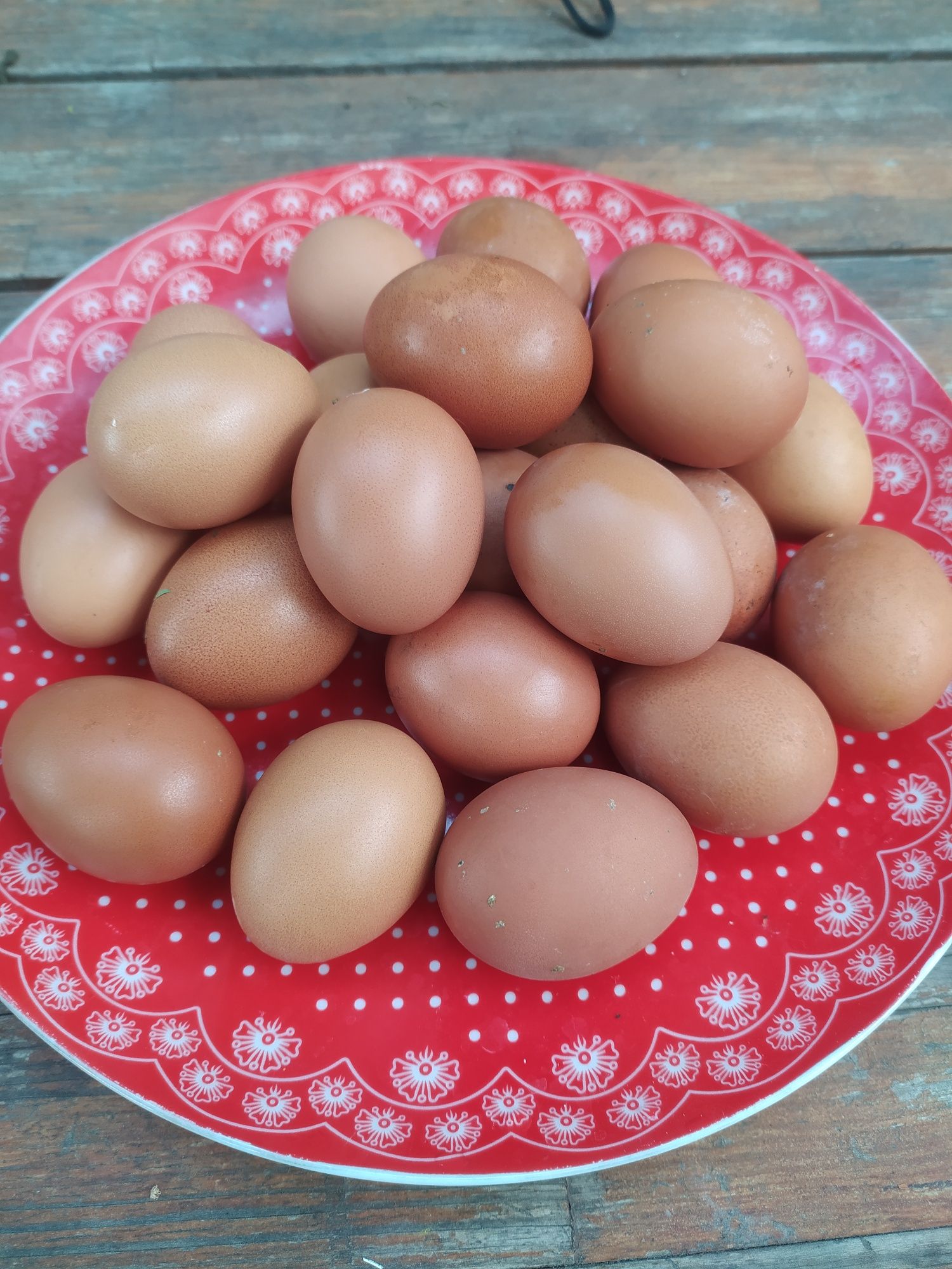 Куриные домашние яйца