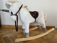 Konik na biegunach