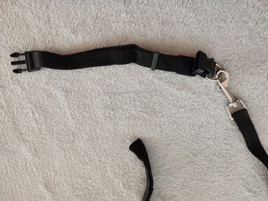 Obroża+smycz dla psa/kota