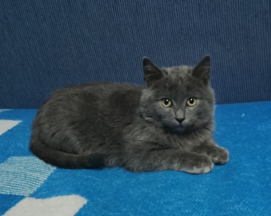 Малыш , мальчик 3 мес.