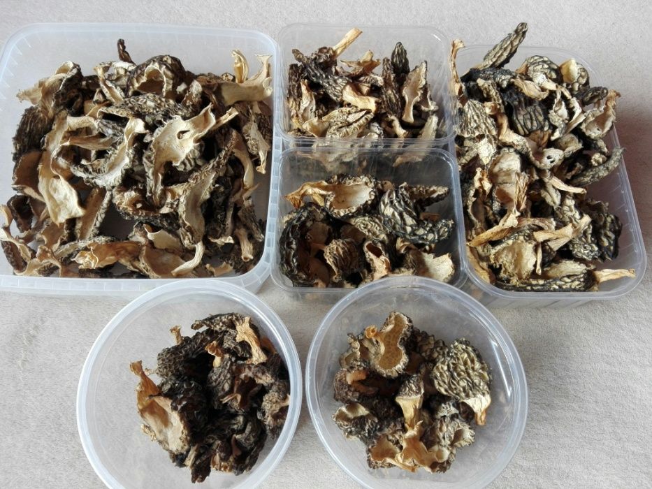 Smardze suszone (morchella conica) 50g.