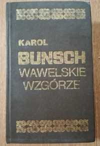 Karol Bunsch - Wawelskie wzgórze