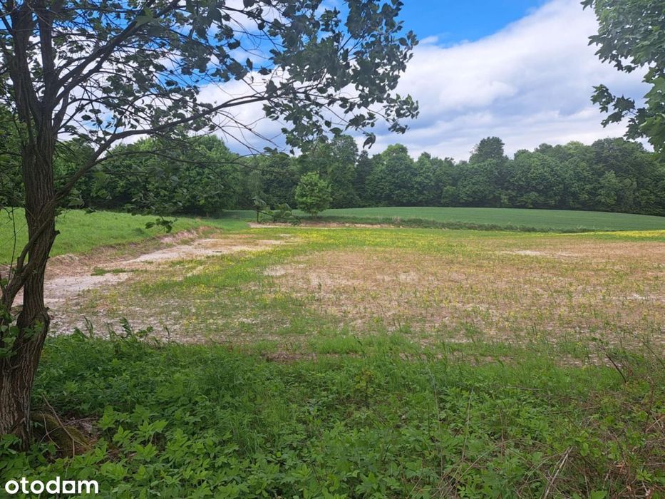 Sprzedam 2 piękne działki przy lesie z warunkami z