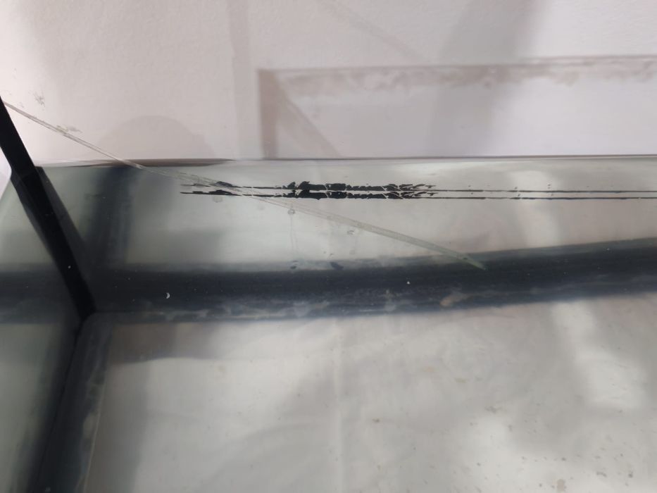 Aquário peixes 59cm