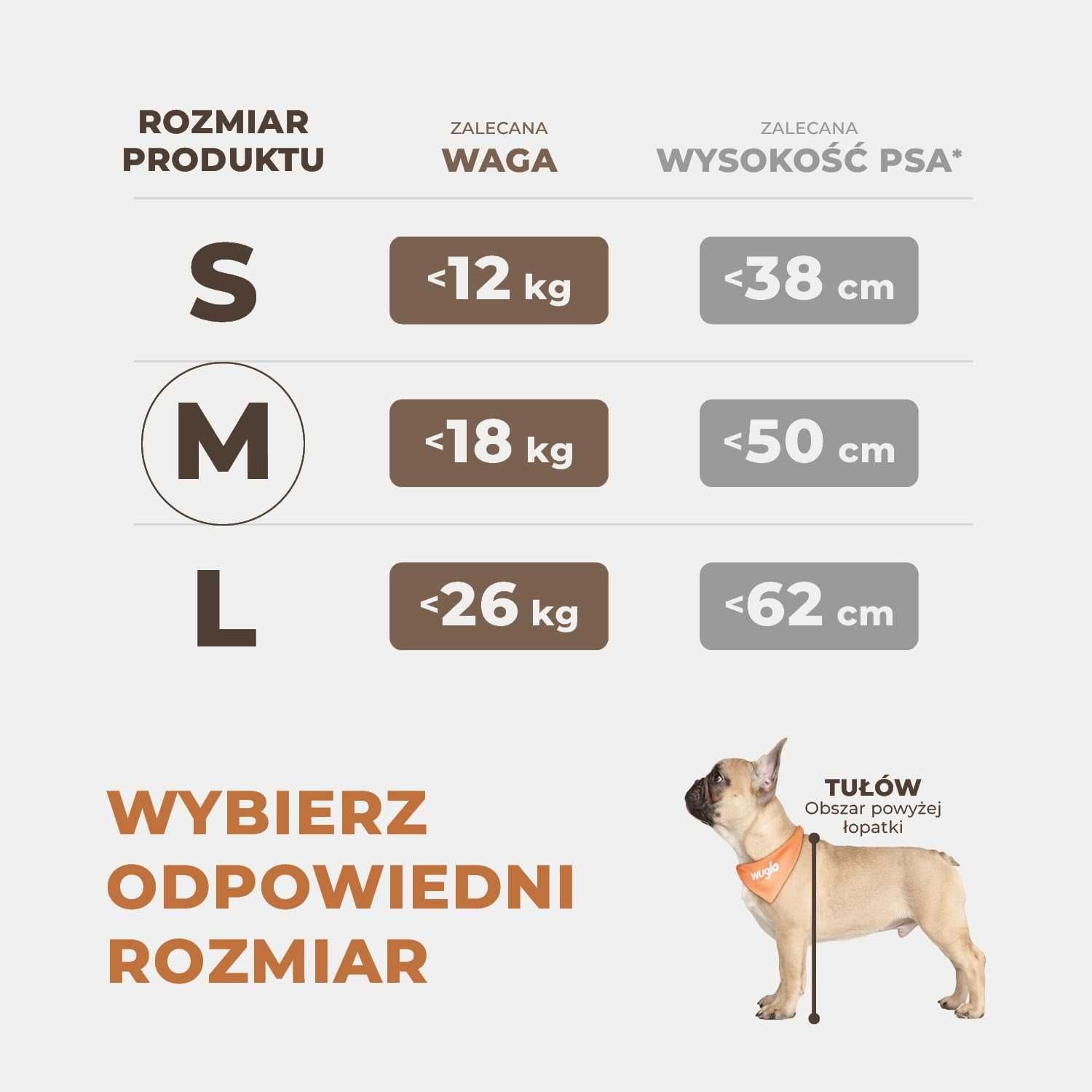 Stabilne siedzisko dla psa do auta – 58×50×50 cm, pas bezpieczeństwa