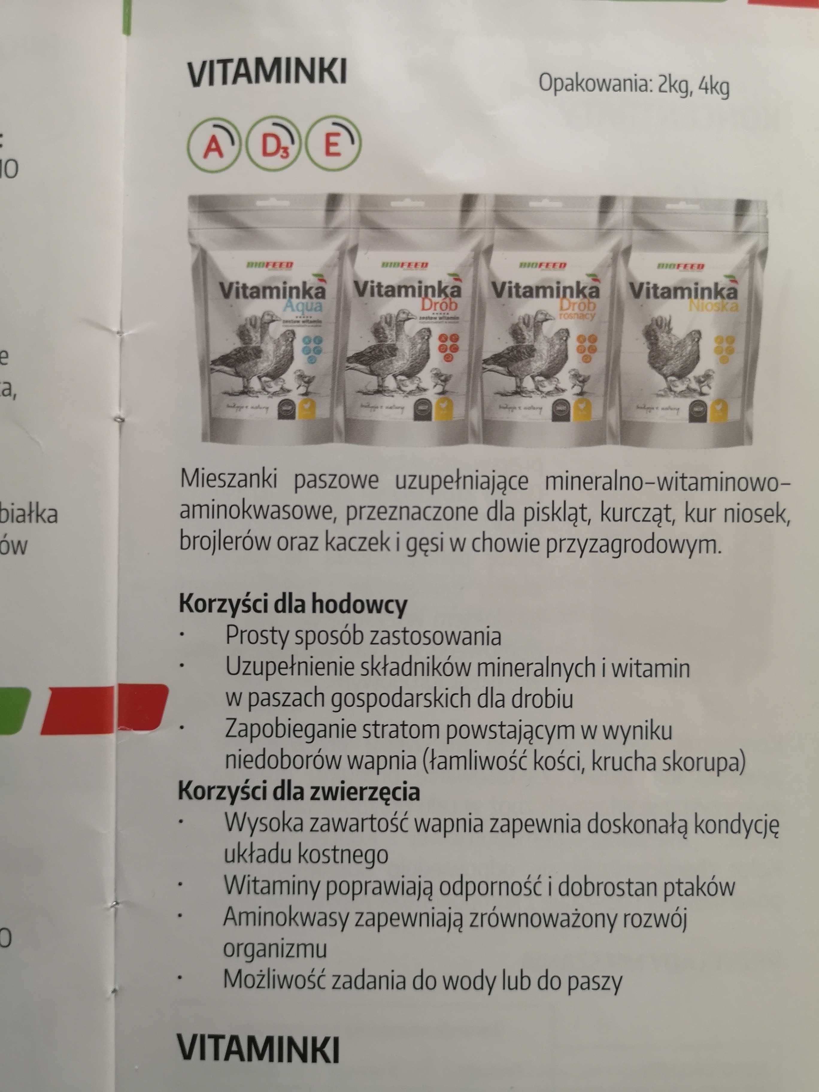 Witaminy dla kur