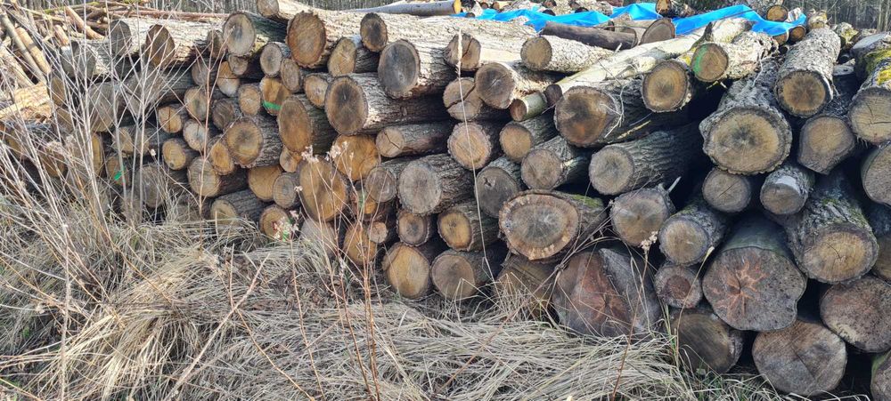 Drewno opałowe sezonowane