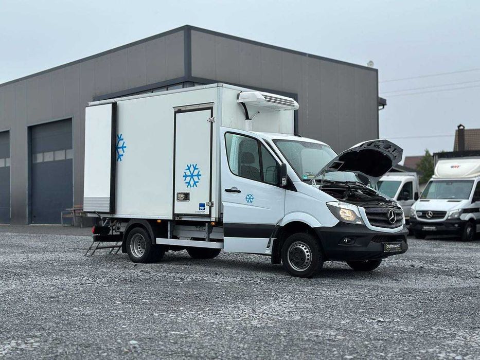 Mercedes-Benz Sprinter 2016p. Мясник