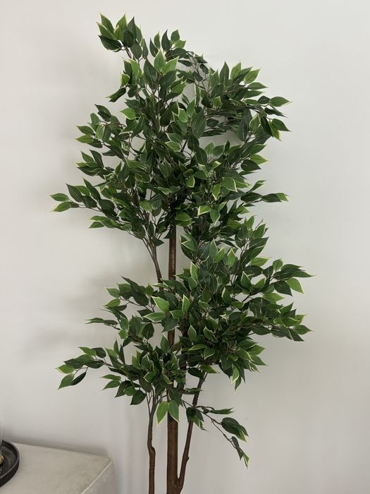 Planta artificial interior/exterior