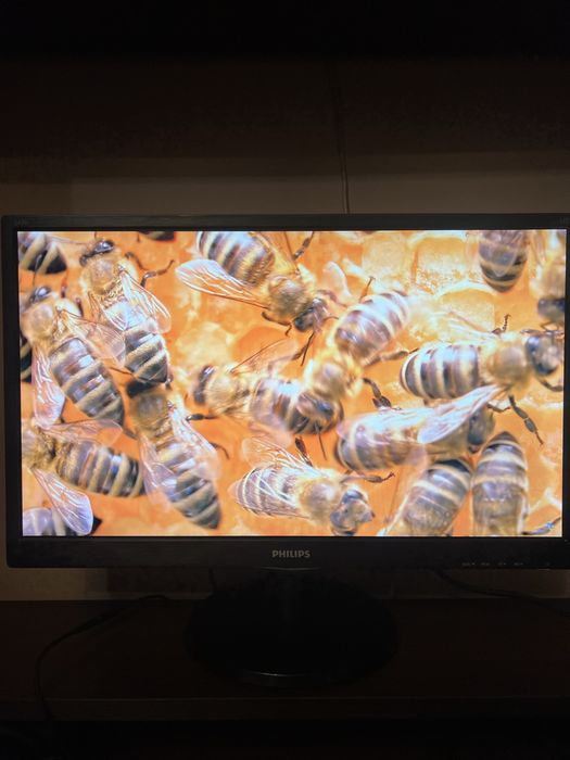 Монітор Philips 24 дюйма MODEL 243V5