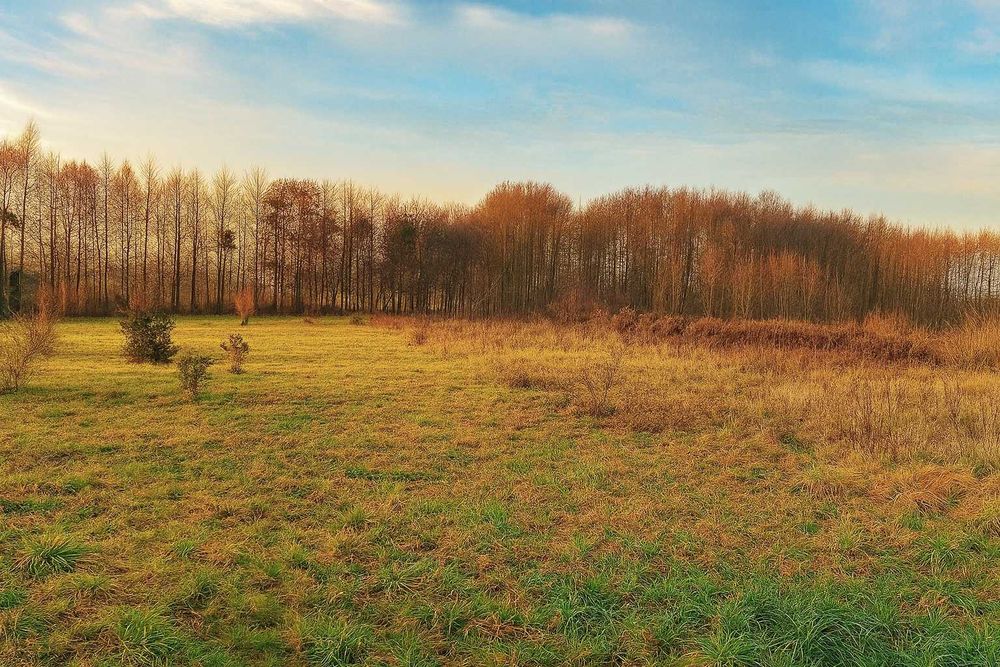 Działki budowlane - warunki zabudowy, przyłącza, piękna okolica, Kikół