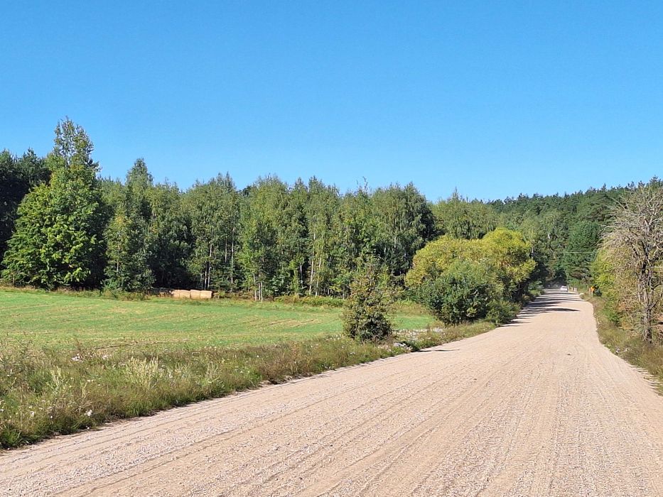 Niesamowita Działka w puszczy 8km od zalewu Siemianówka.