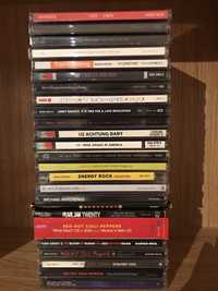 Red Hot Chili Peppers, U2, Pearl Jam, Lenny Kravitz, Coldplay