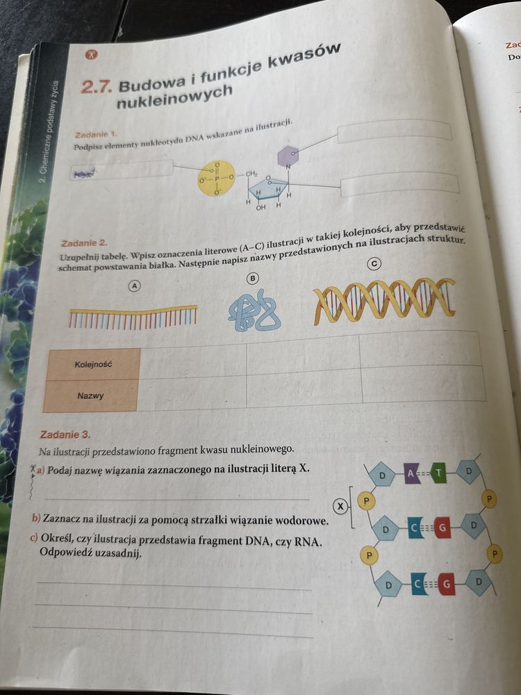 Podręcznik Karty pracy klasa 1 Biologia na czasie zakres podstawowy