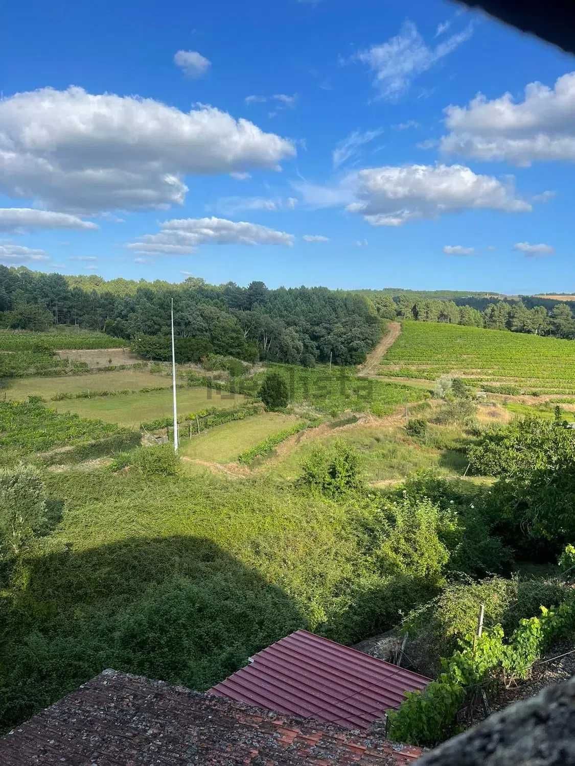 OPORTUNIDADE - Vende-se casa rústica - Vila Real