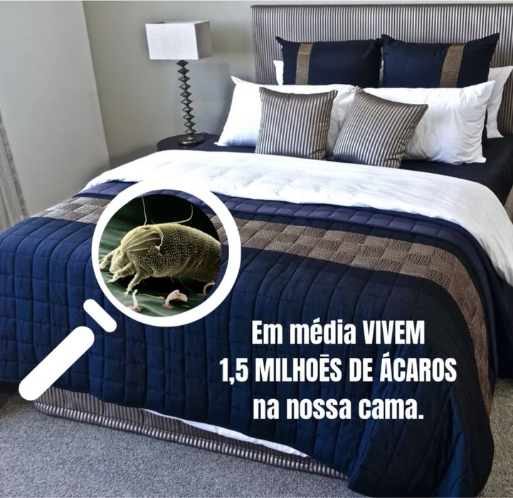 Higienização e lavagem a seco do seu estofado e carpetes.