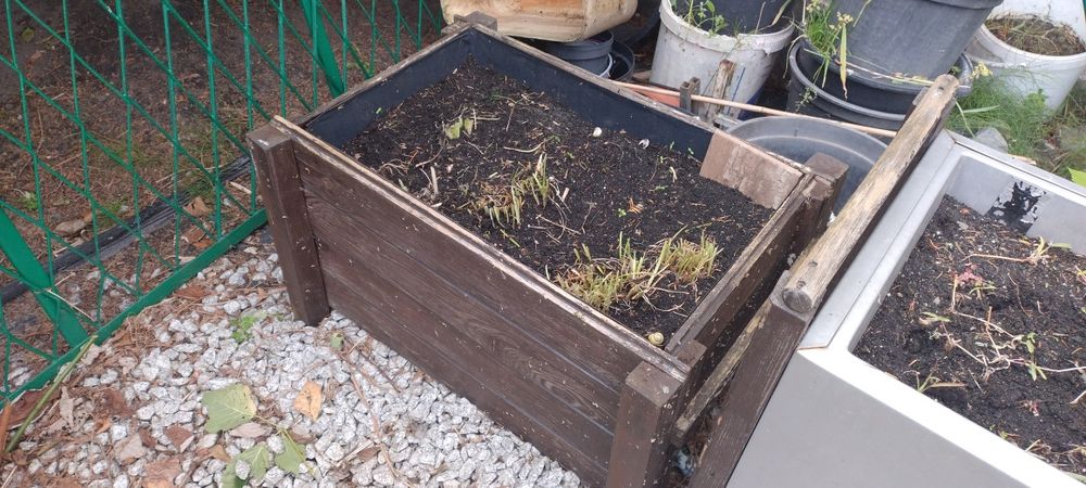 Oddam za darmo donice