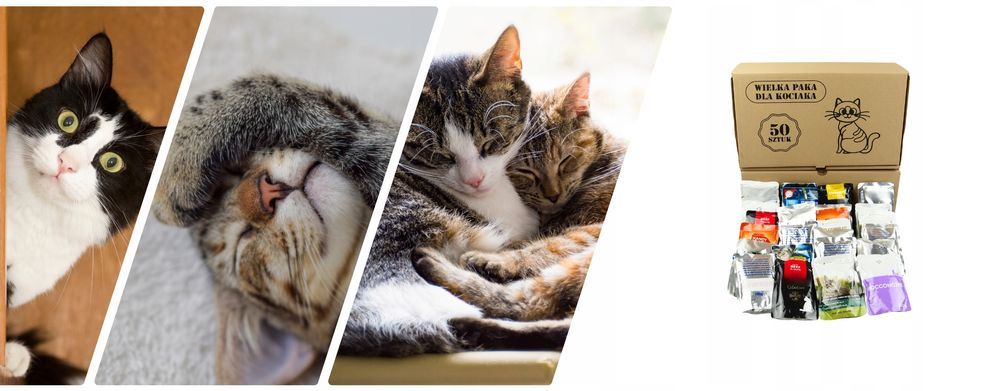 Mokra Karma Dla Kotów - Mix Smaków 50 Saszetek 85G-100G