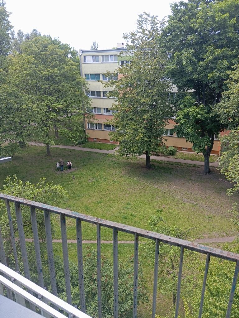 Mieszkanie do wynajęcia