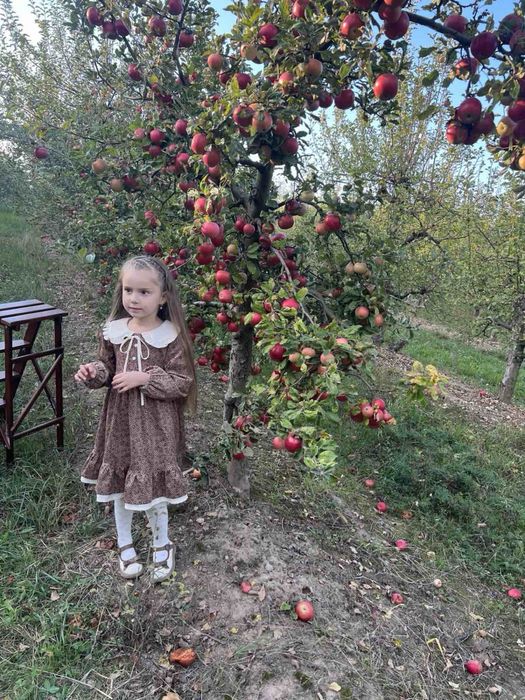 Дитяча сукня нарядна на всвято