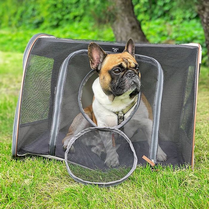 Автокрісло для тварин Collar L