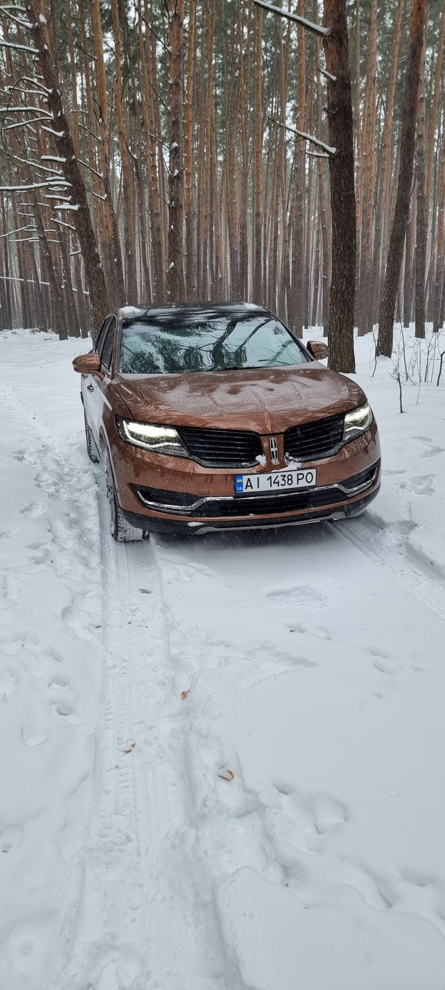 Lincoln MKX, Black Label 2016