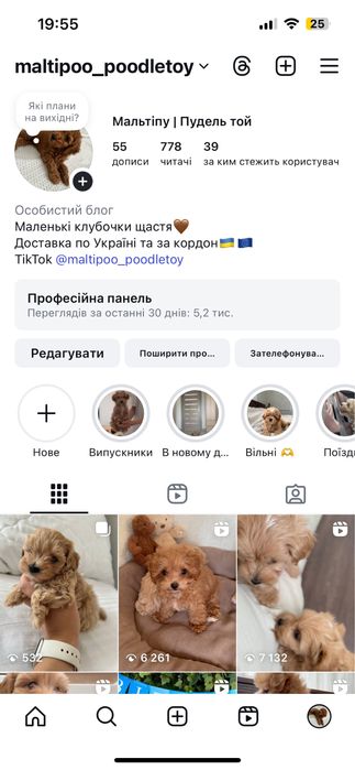 Мальтіпушки для ніжних обіймів