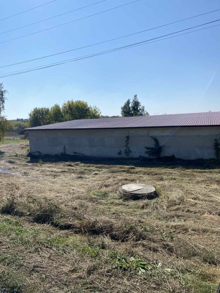 Склад/виробниче приміщення 750 м², Миргородський р-н