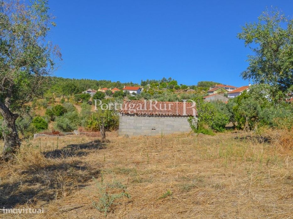 Lote terreno com 870 m² para construção em Proença-a-Nova