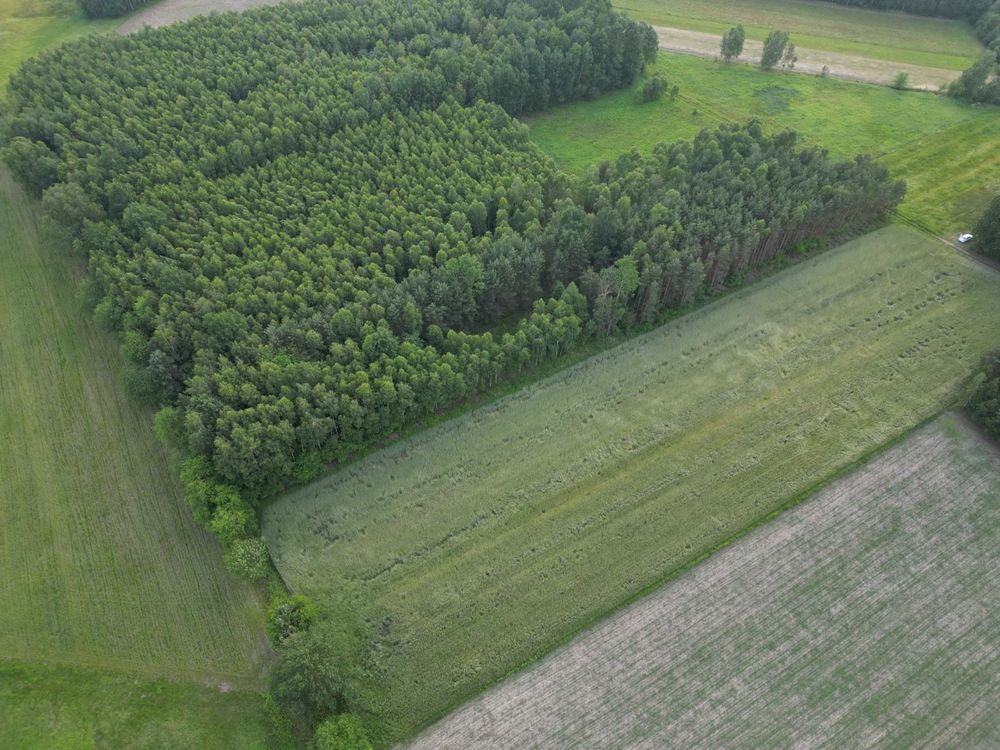 Okazja działka leśna w Ślęzakach gmina Baranów Sandomierski LAS