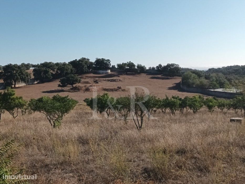Monte Alentejano com terreno de 2,5 ha em Vila Viçosa, Évora