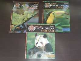 Wielka encyklopedia zwierząt ptaki,gady,ssaki