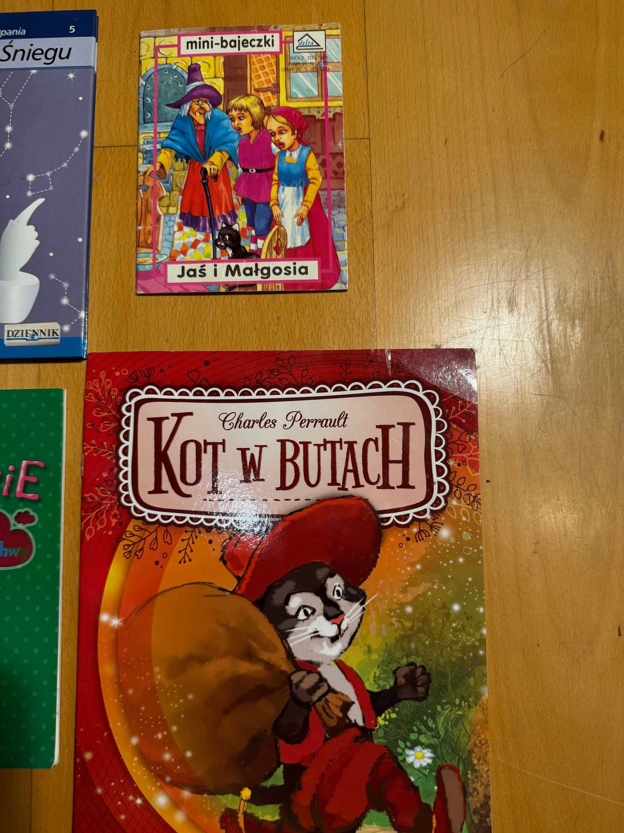 Książki dla dzieci, Królowa Śniegu, Kung Fu Panda, Kot w butach,9 szt.