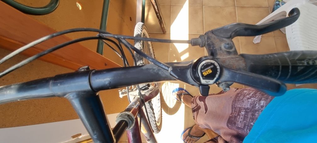 Bicicleta Cattalina