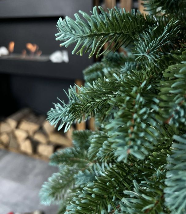 Ялинка лита «Канадська»