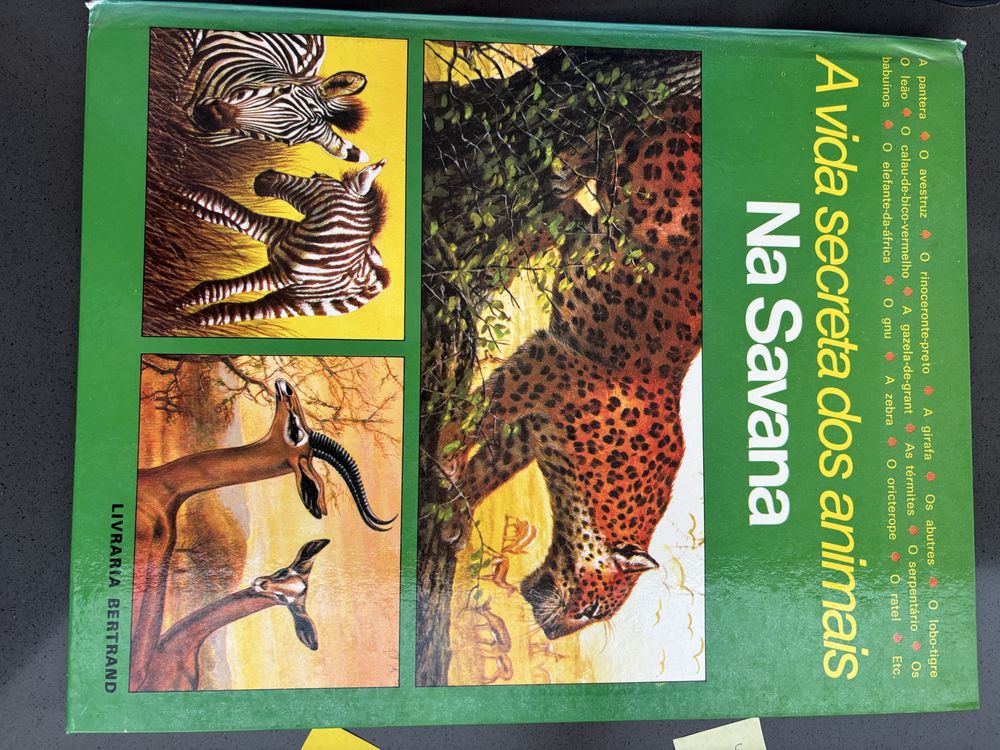 A Vida Secreta dos Animais na Savana