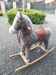 Konik na biegunach