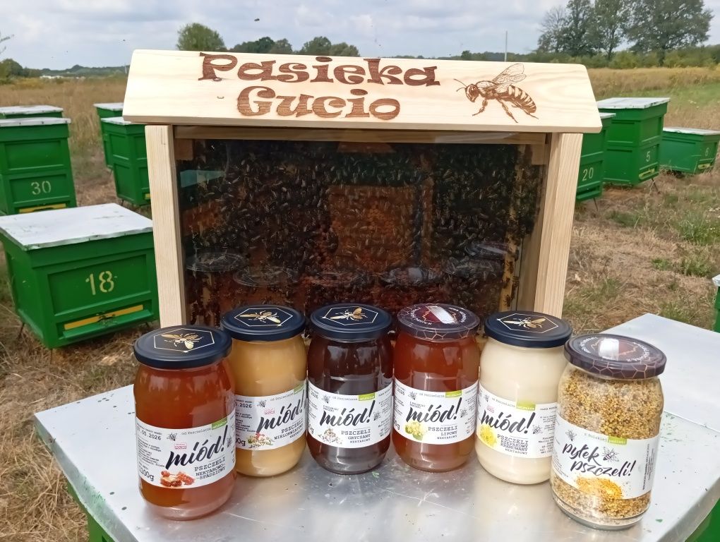 Miód z własnej pasieki Lipowy,Akacjowy ,Spadziowy,Rzepakowy