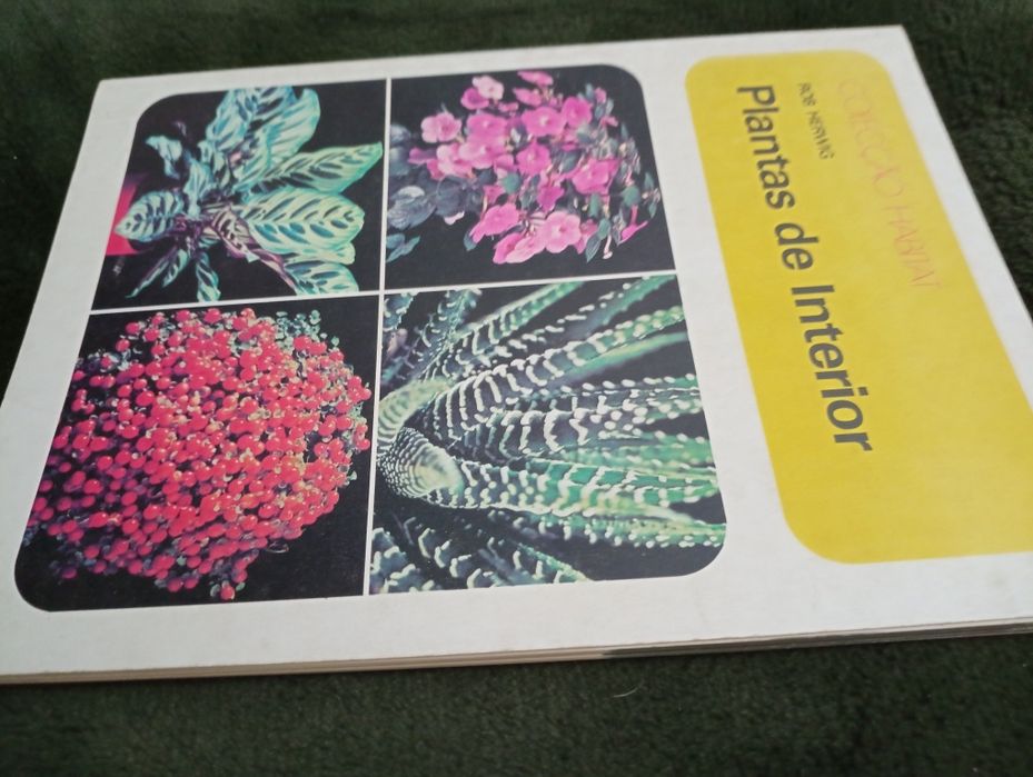 Plantas de interior – Rob Herwig - Editorial Presença - 1974