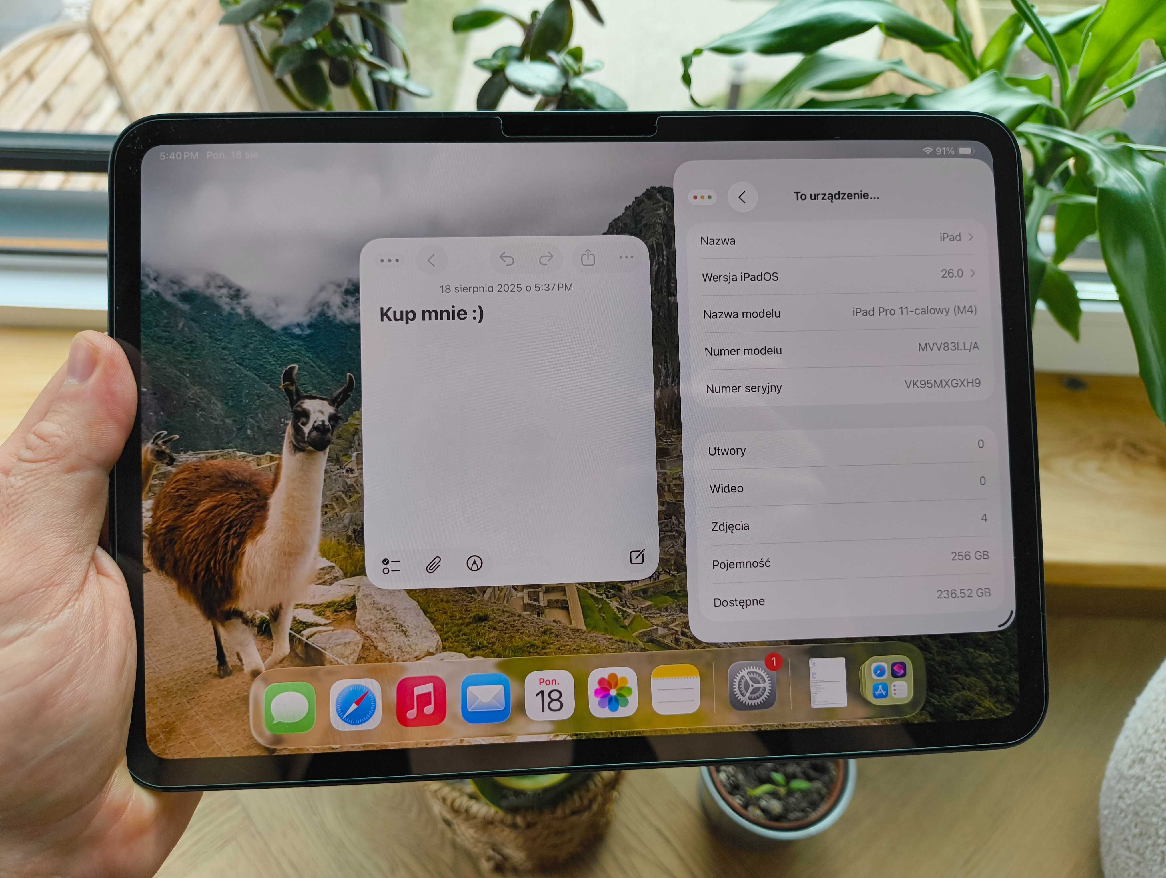 iPad Pro 11" M4, 256 GB, Wi-Fi– najnowsza generacja, stan perfekcyjny!