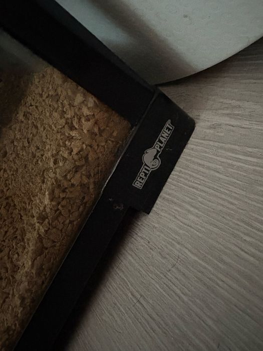 Terrarium dla gadów