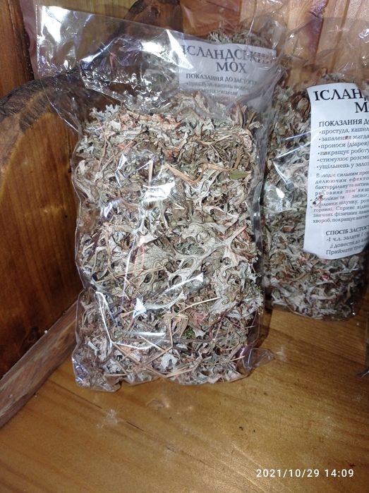 Ісландський мох, исландский мох з  Карпат Карпатский цетрарія