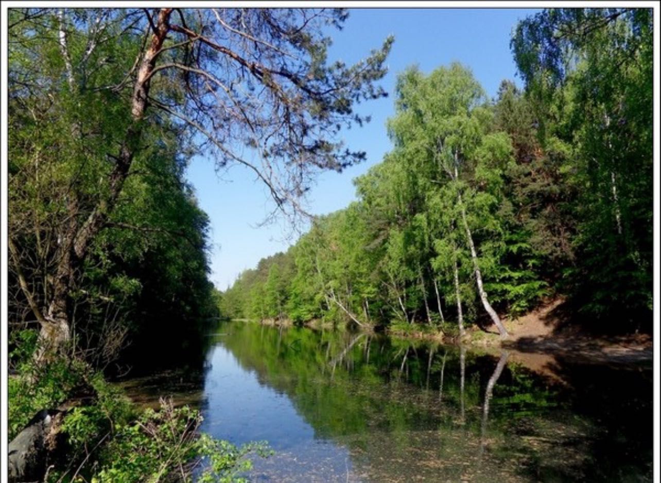 działka o powierzchni 1300 m² w miejscowości Hutki-Kanki,