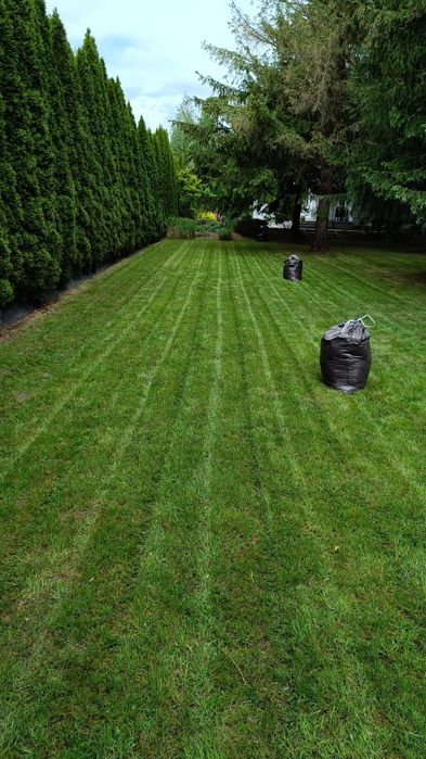 Usługi Ogrodnicze Warszawa i okolice. Wolne terminy listopad-grudz.