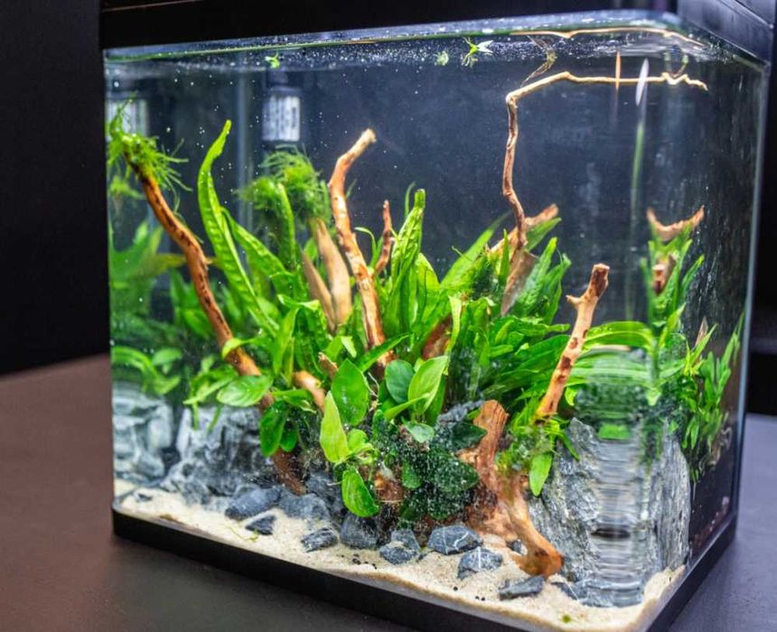 Akwarium Standardowe INVITAL EasyTank PRO LED 30L Czarny - WYPRZEDAŻ