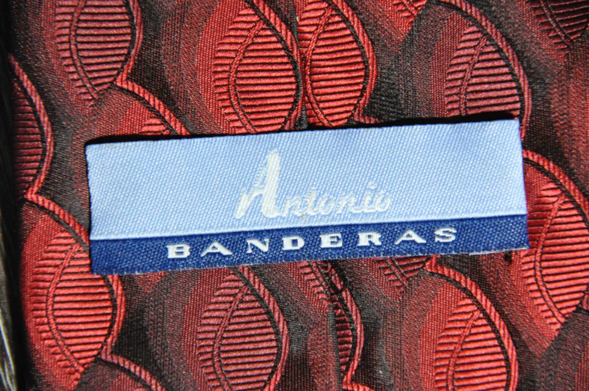 Мужской галстук Antonio Banderas