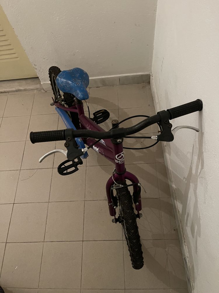 Bicicleta de Criança