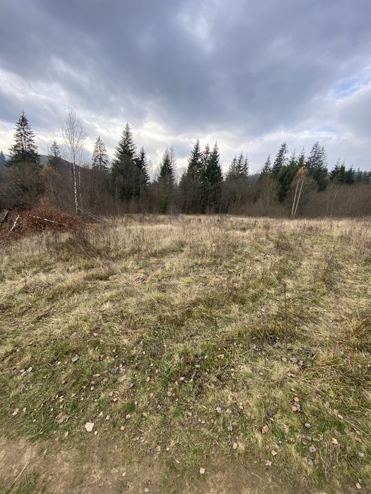 Земля в Ворохті!