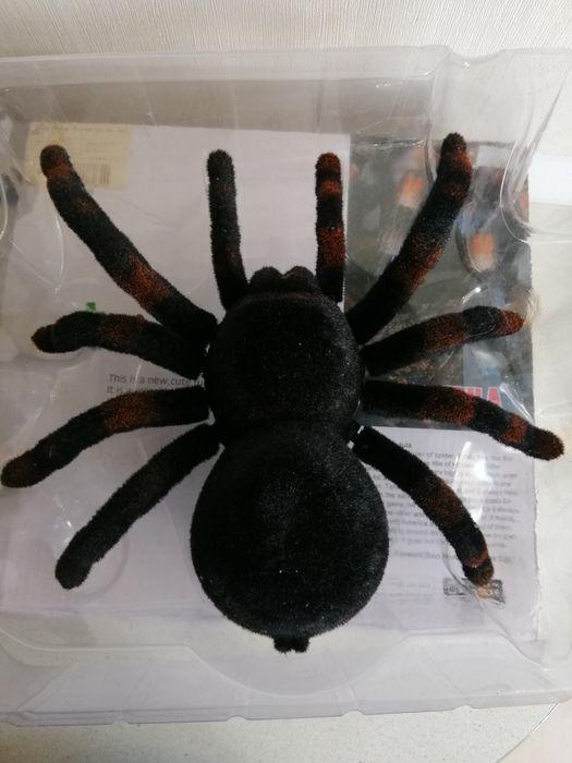 Продам паучка Tarantula