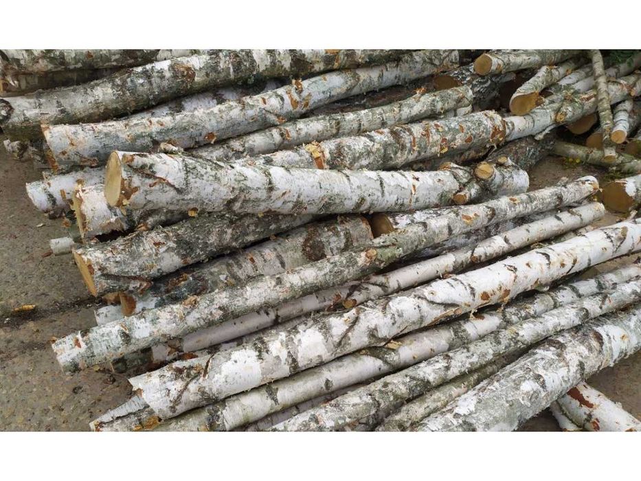 КУПЛЮ ДЕРЕВИНУ РІЗНИХ ПОРІД, дрова, лісоматеріали, оплата відразу